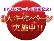 「シンイ-信義-」DVD&ブルーレイ発売記念!3大キャンペーン実施!!