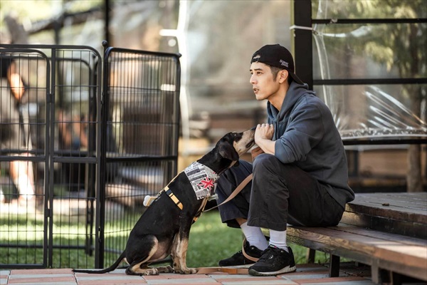 ジョージ・フーと犬