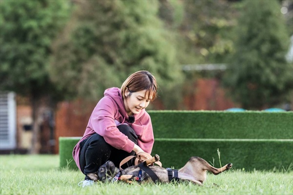 シャロン・リーと犬