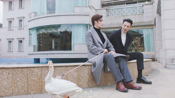 バイジューとトゥーとアヒル