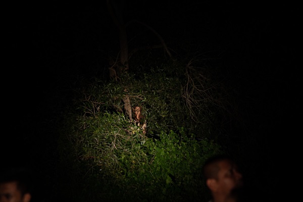 『女神の継承』サブ写真５