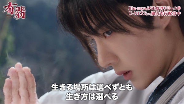 「有翡(ゆうひ)」写真2:ワン・イーボー