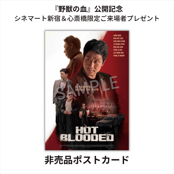 『野獣の血』非売品ポストカード