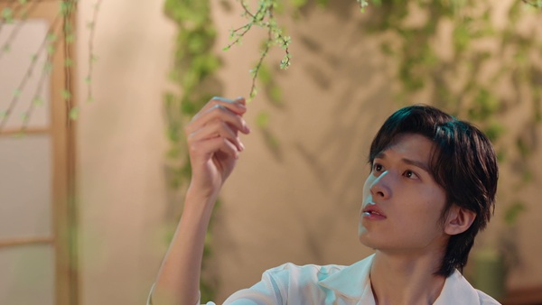 桜の木を見つめる南華