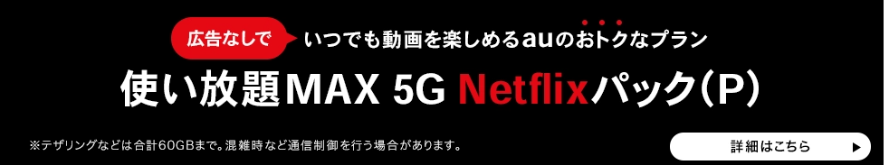 【2024年1月現在】使い放題MAX 5G/4G Netflixパック（P）が登場