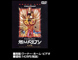 ひと目でわかるカンフー映画年表：イップ・マン DVDオフィシャル