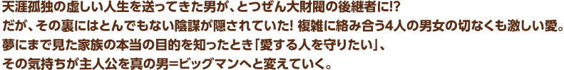 天涯孤独の虚しい人生を送ってきた男が、とつぜん大財閥の後継者に!?　だが、その裏にはとんでもない陰謀が隠されていた！複雑に絡み合う4人の男女の切なくも激しい愛。夢にまで見た家族の本当の目的を知ったとき「愛する人を守りたい」、その気持ちが主人公を真の男＝ビッグマンへと変えていく。