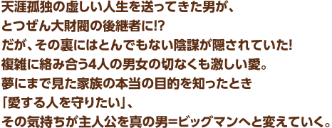 天涯孤独の虚しい人生を送ってきた男が、とつぜん大財閥の後継者に!?　だが、その裏にはとんでもない陰謀が隠されていた！複雑に絡み合う4人の男女の切なくも激しい愛。夢にまで見た家族の本当の目的を知ったとき「愛する人を守りたい」、その気持ちが主人公を真の男＝ビッグマンへと変えていく。